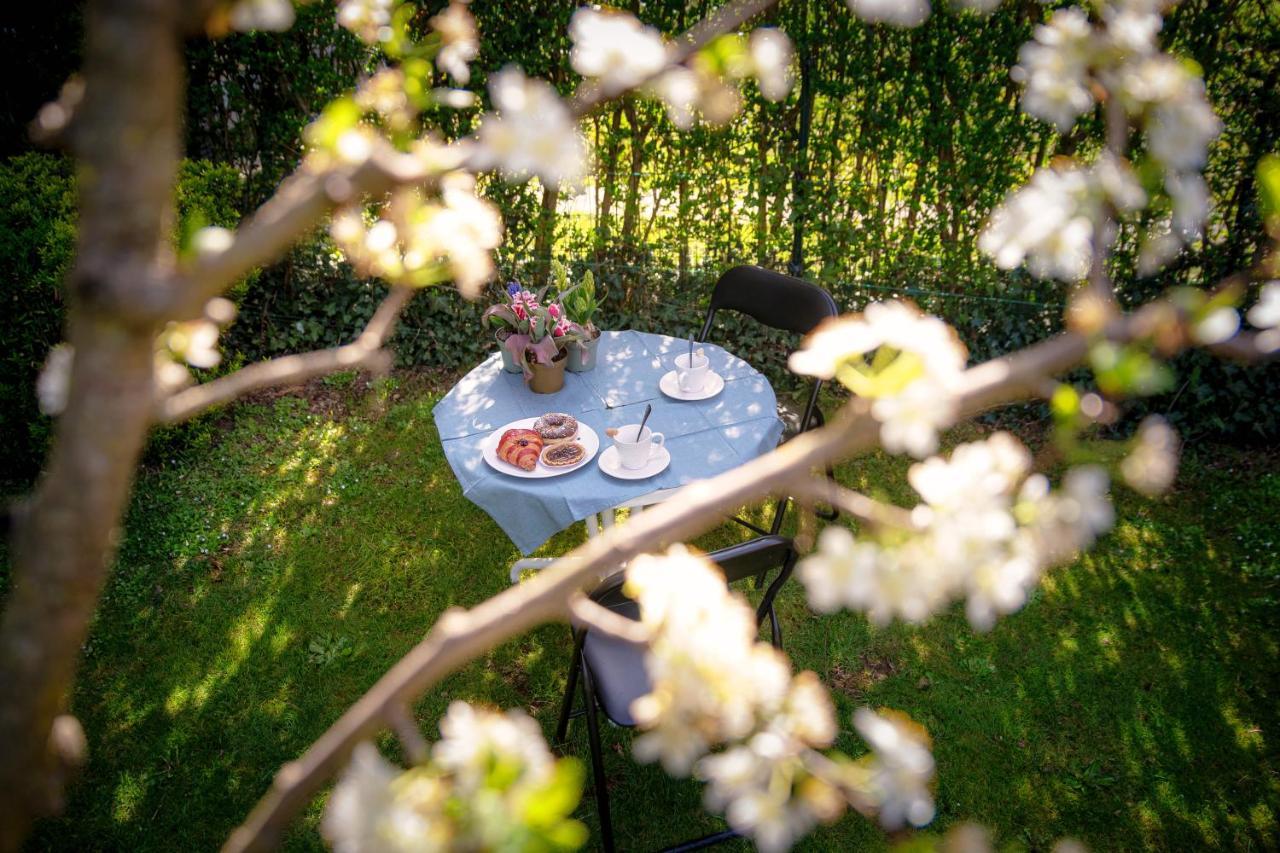 My Sweet Garden - By Myhomeincomo Cassina Rizzardi Zewnętrze zdjęcie